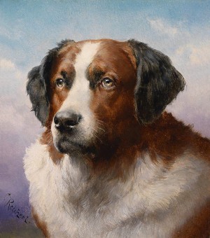 St Bernhard Dog Portrait_OSG